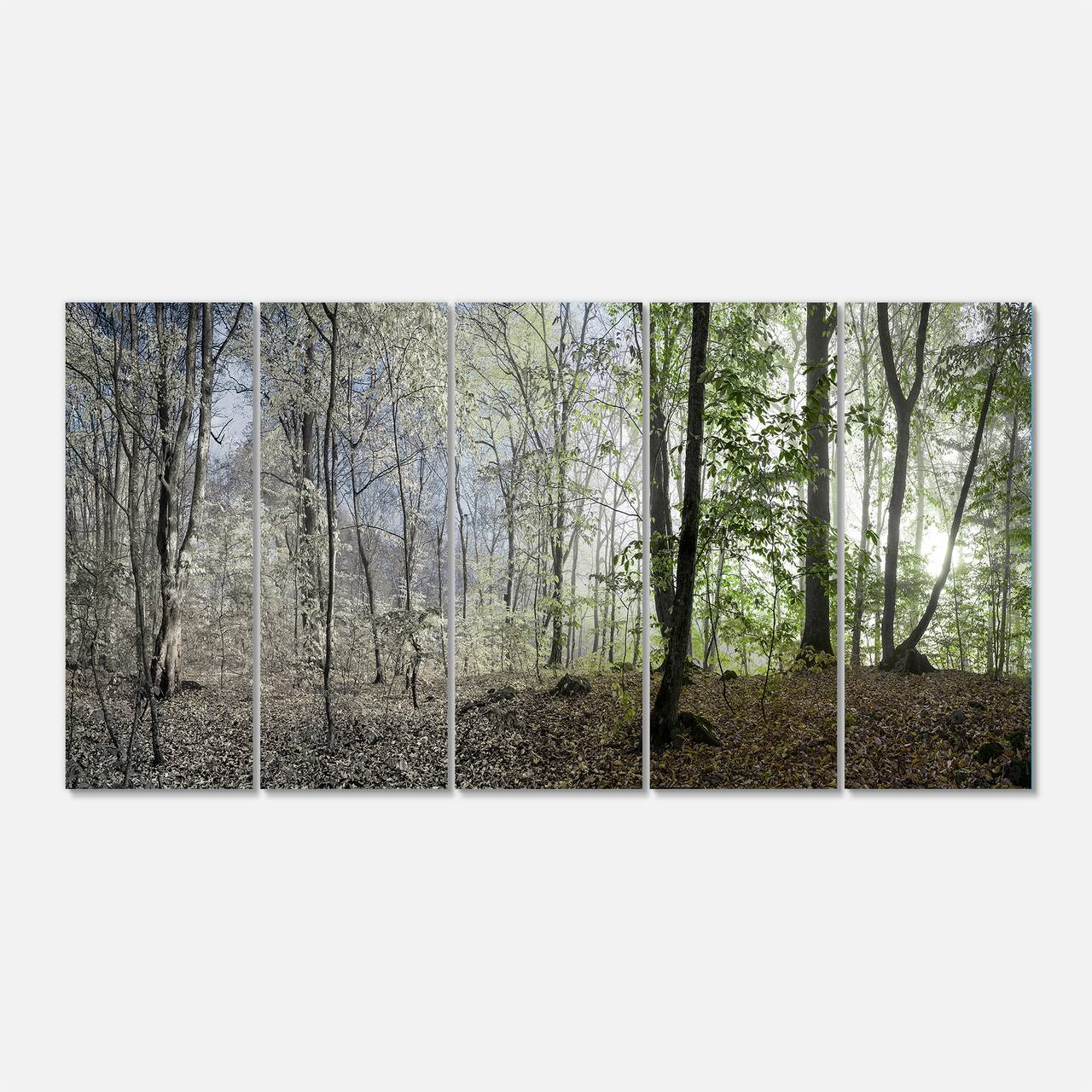 Designart - Green Morning in Forest Panorama - Landscape Canvas Art Print